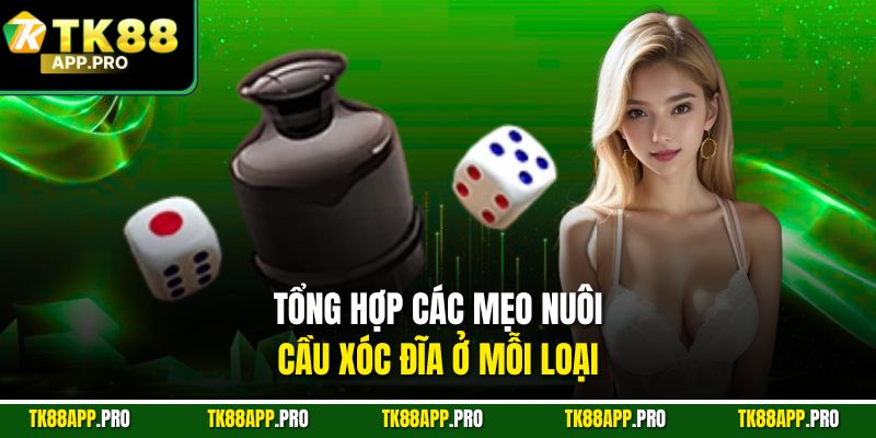 Tổng hợp các mẹo nuôi cầu xóc đĩa ở mỗi loại