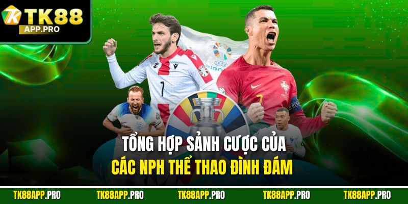 Tổng hợp sảnh cược của các NPH thể thao đình đám